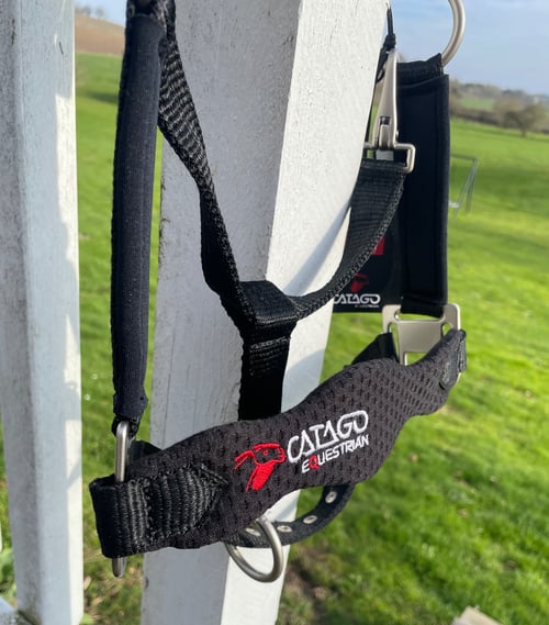 Catago/ FIR Tech - Pony (2)