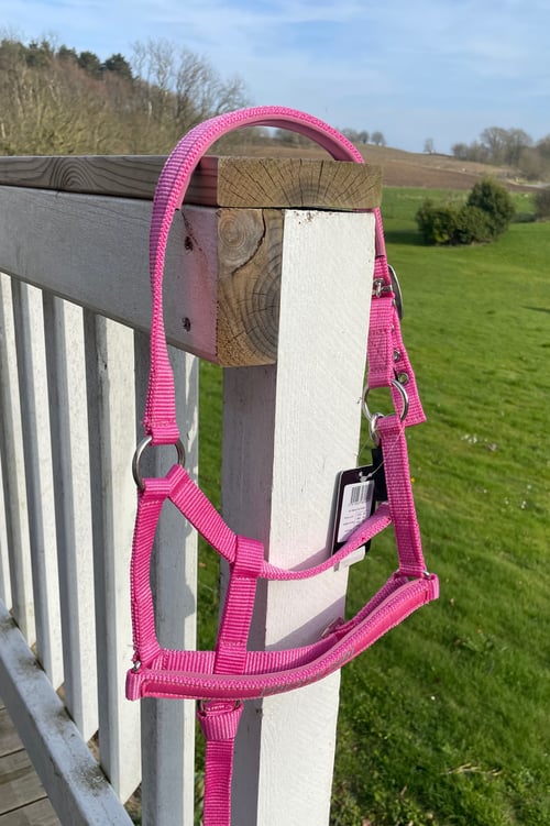 Pink hestegrime hænger på hjørnestolpen af en hvid trægelænder med grøn mark og blå himmel i baggrunden. (1)