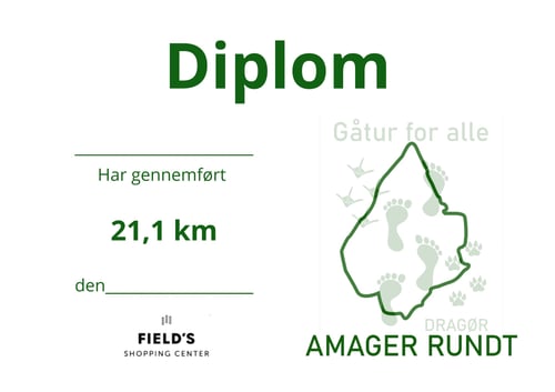 Diplom efterårsrunden 2026