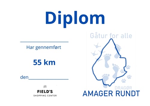 Diplom efterårsrunden 2026 (3)