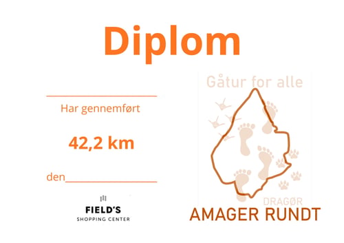 Diplom efterårsrunden 2026 (2)