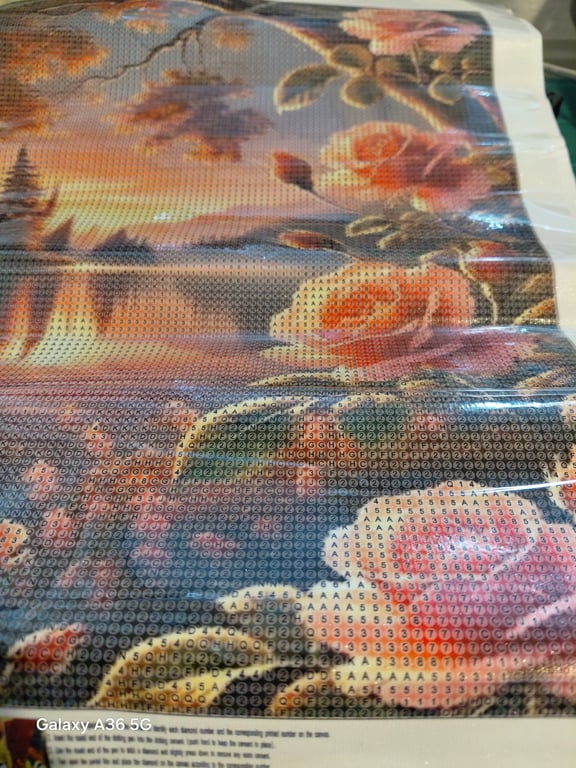 Her er en riget pæne  sol opgang od der er også nogen pæne lyserøde roser 30×40