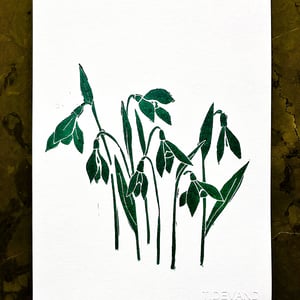 Linoleumstryk - vintergækker – produktbillede