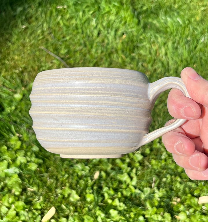 Spiralkop, beige (B)