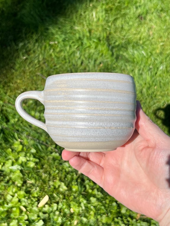 Spiralkop, beige (C)