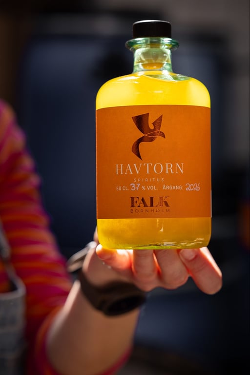 Havtorn, 37% vol., årgang 2026