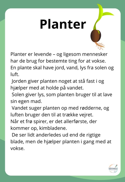 Planter (2)