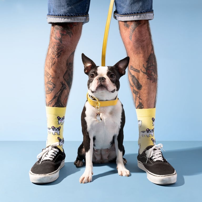 Coucou Suzette, French Bulldog Socks