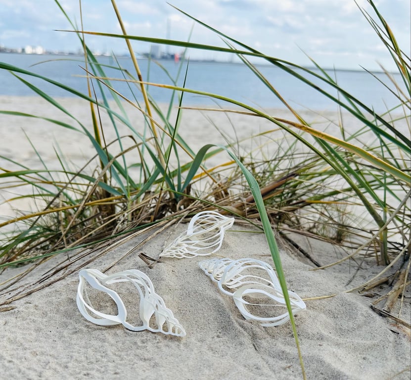 KONKYLIE RØDKONK billede 2