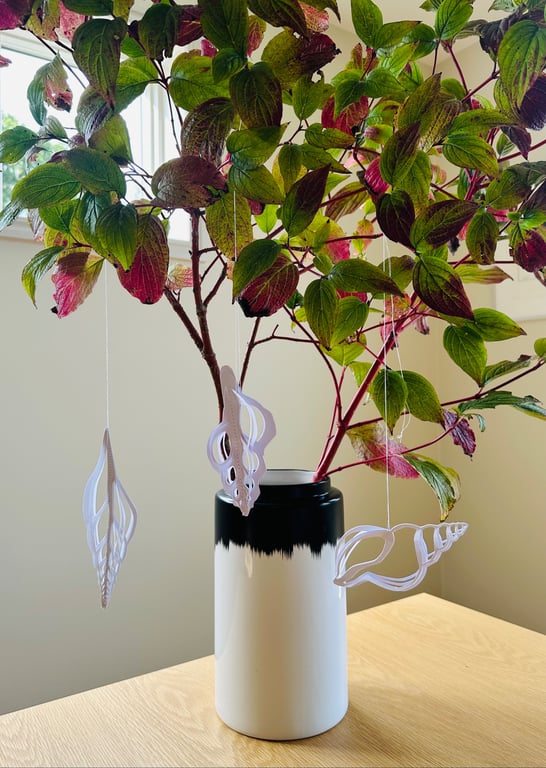 KONKYLIE RØDKONK billede 4