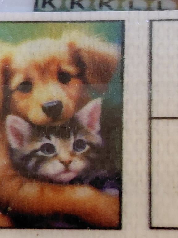 Et riget pænt hund bilde 30×40