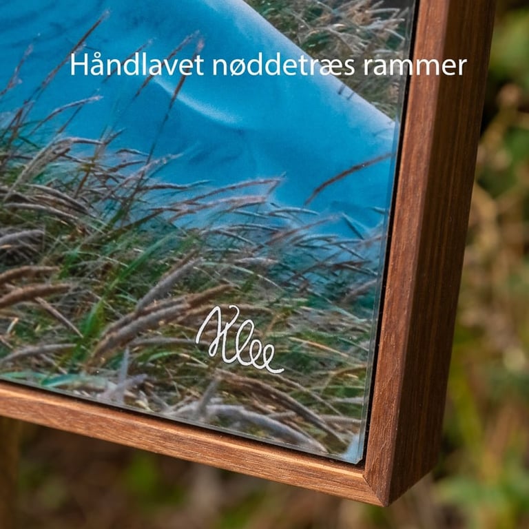 Dansk sommer, når den er smukkest – Møns Klint fra søsiden billede 7