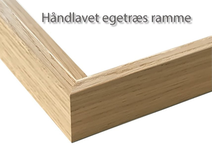 Dansk sommer, når den er smukkest – Møns Klint fra søsiden billede 6
