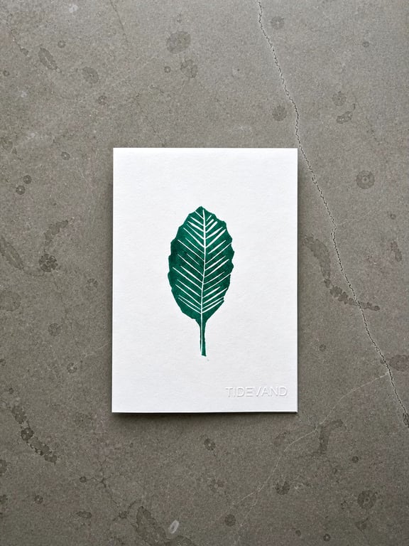 Mini print - blad fra bøg