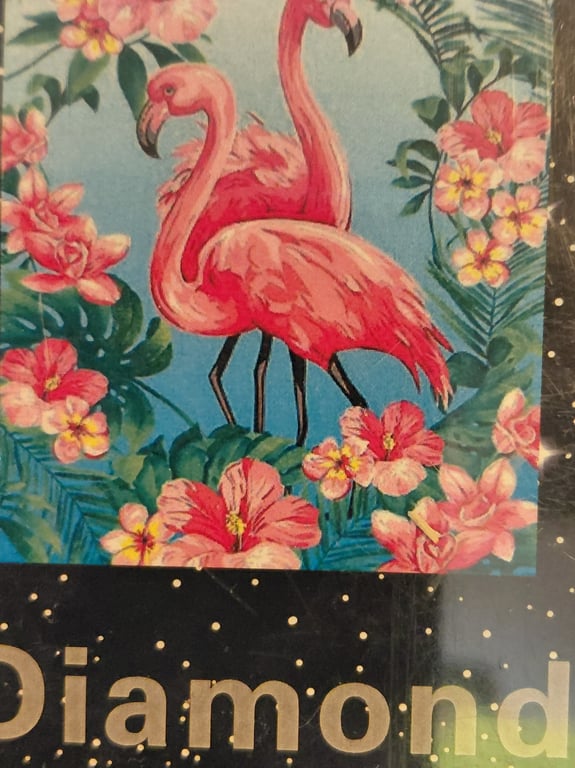Et pænt bilde med nogen  flamingoer 35×45