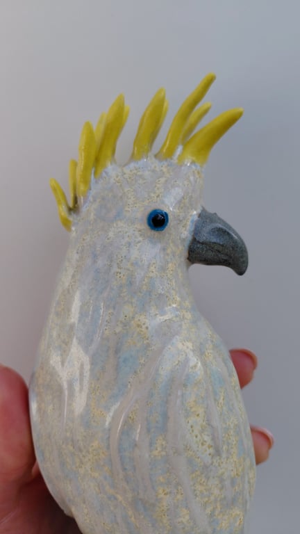 kakadue billede 2