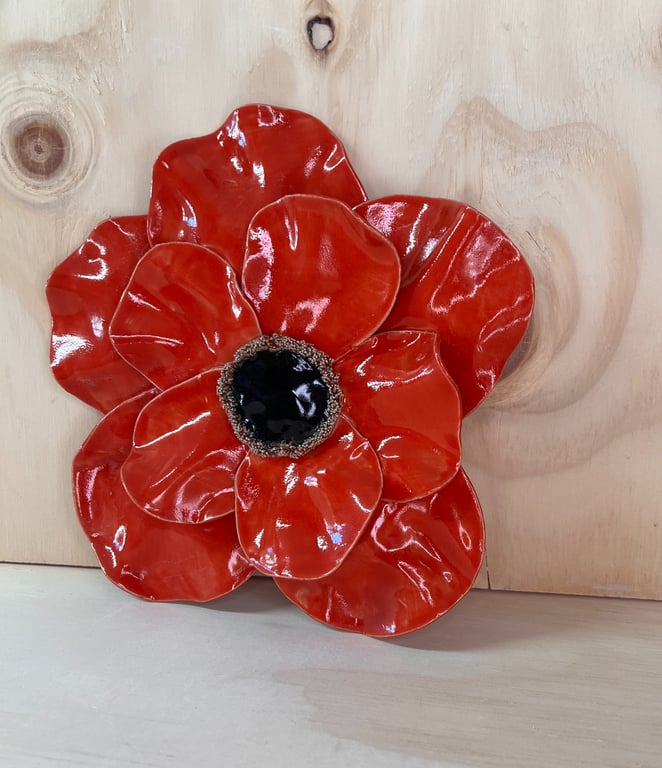 Rød vægblomst billede 3