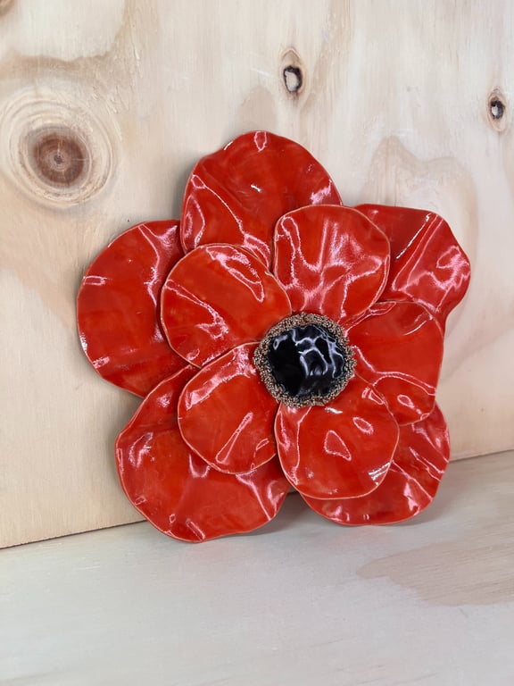 Rød vægblomst billede 2
