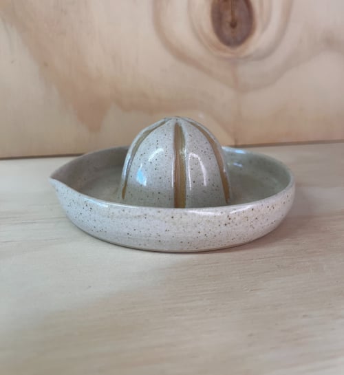 Citruspresser (4)