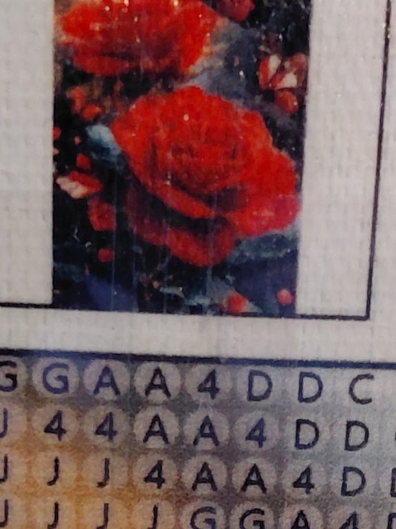 Et pænt blomster bed40×60