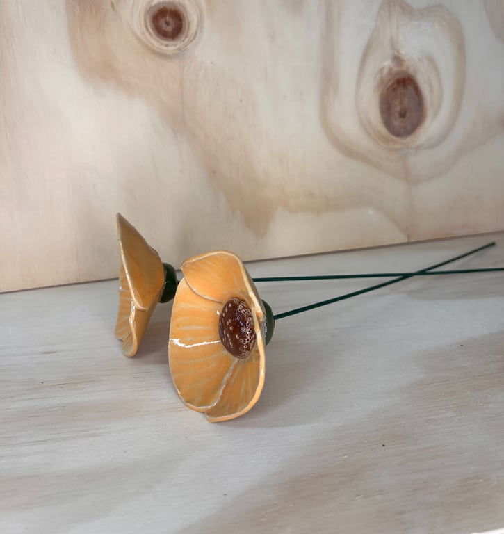 Blomst på stilk orange valmue   billede 2