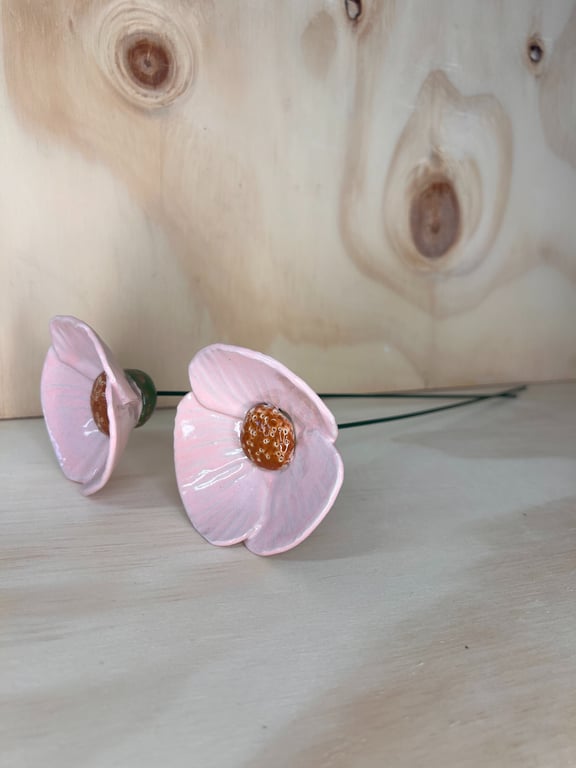 Blomst på stilk lyserød valmue 