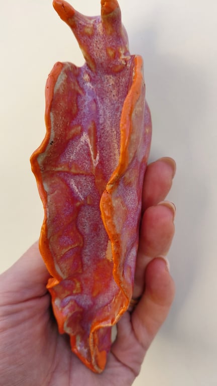 nøgensnegl, rød og orange billede 2