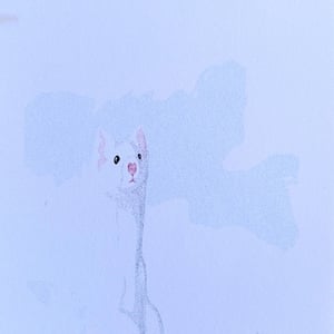 PEEK – produktbillede