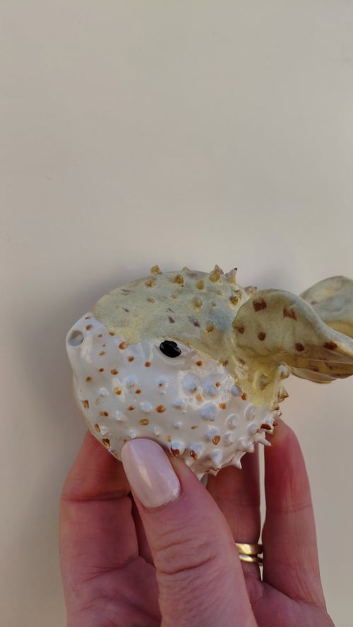væghængt kuglefisk, gul (2)