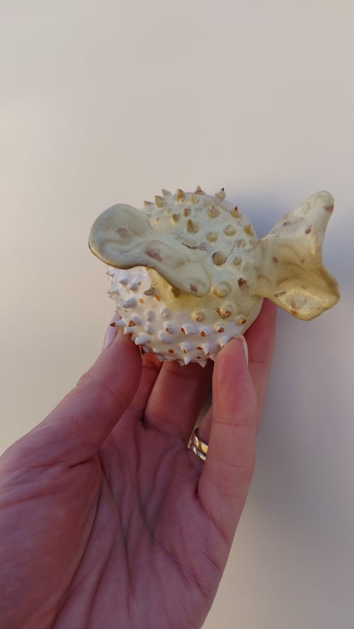 væghængt kuglefisk, gul (5)