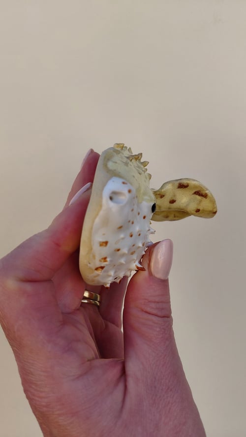 væghængt kuglefisk, gul (6)