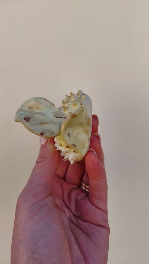væghængt kuglefisk, gul (7)