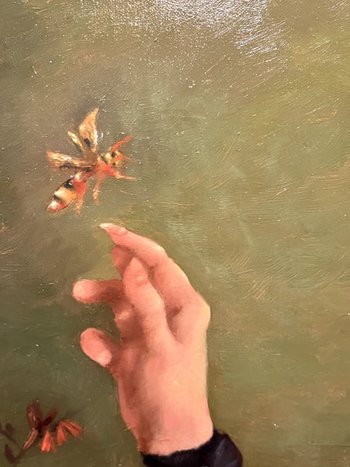 Naturlig Selektion / Natural Selection (3)