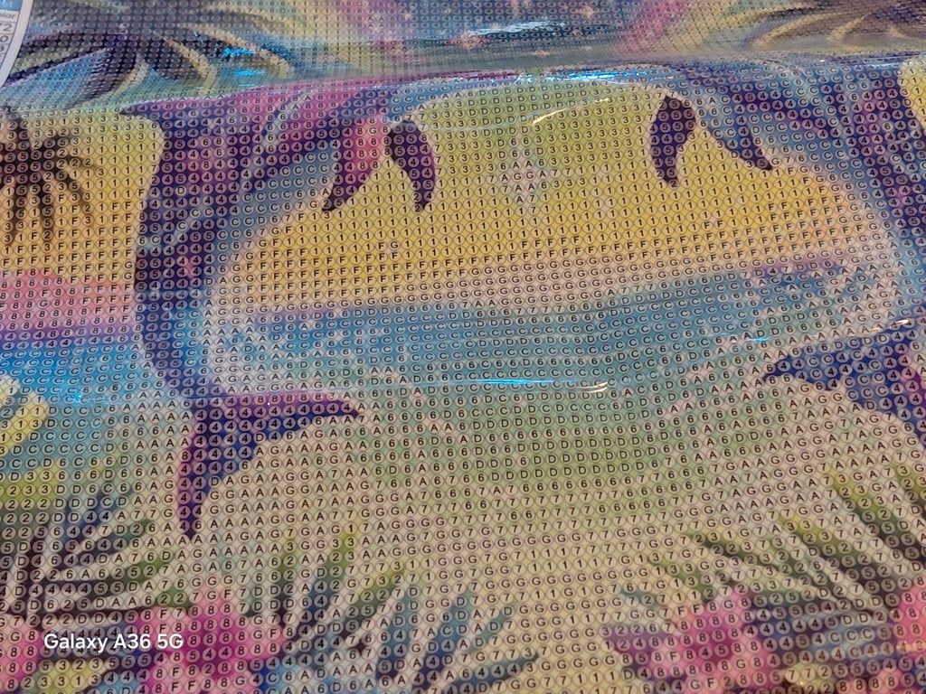 Her er der nogen pæne delfiner30×30