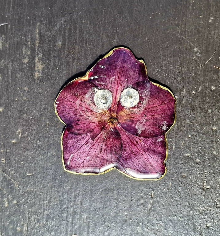 Helleborus broche billede 2