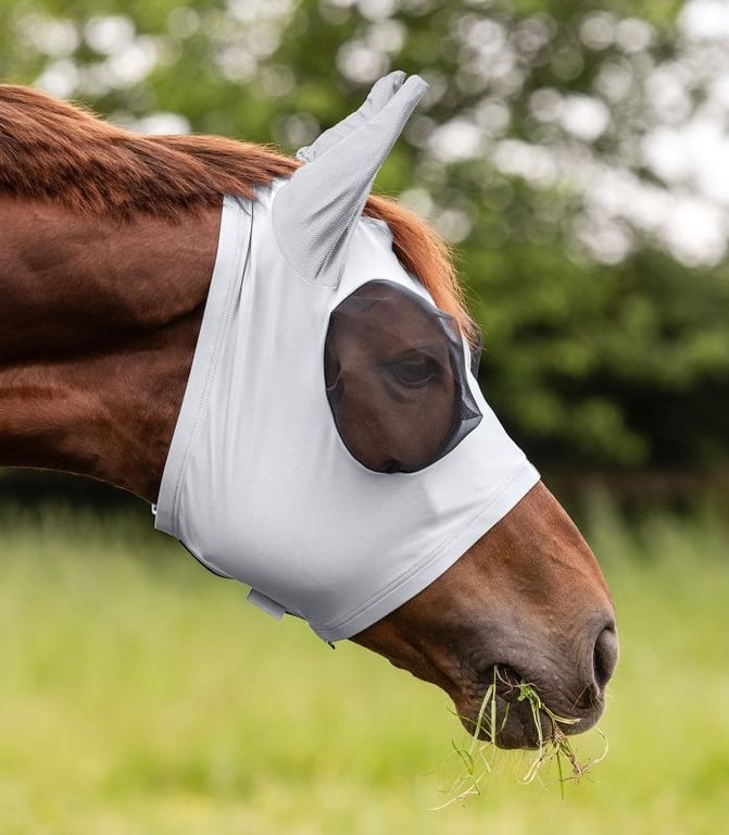 Brun hest iført hvid beskyttelsesmaske med ører, der græsser i en grøn mark.