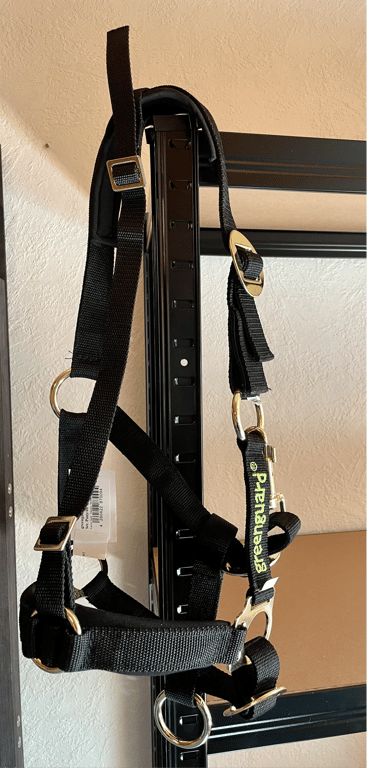 Sort nylon seletøj med metalbeslag hængende på en sort metalramme mod en beige væg.