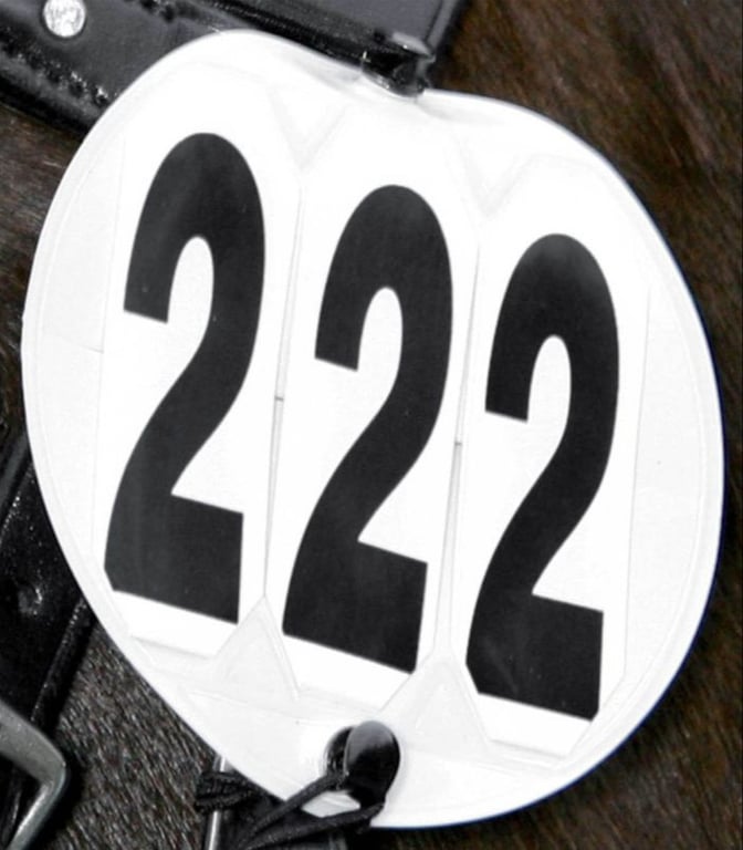 Hvidt plasticnummer med sort tal 222 fastgjort til sort læderrem.