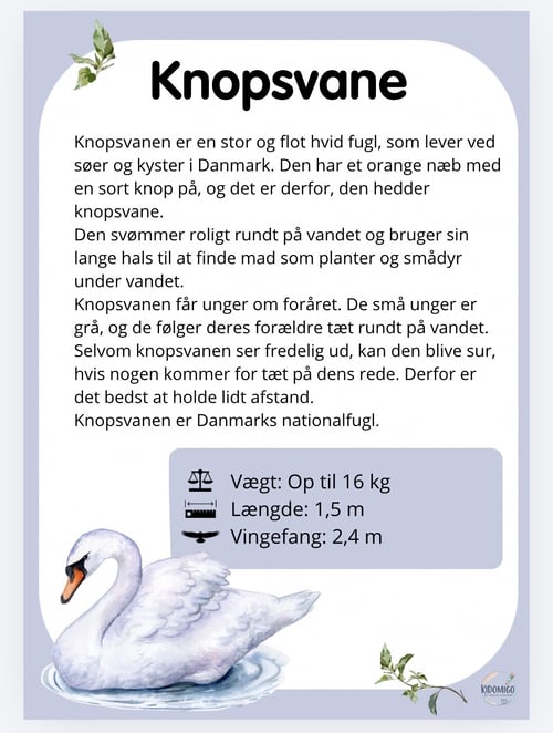 Flotte fugle (2)