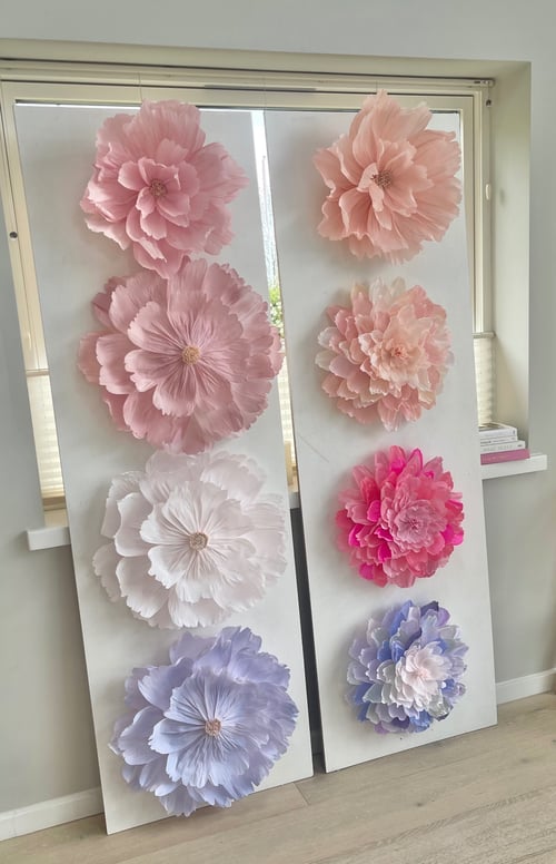 To store two white display boards each decorated with six large, layered papirblomster i forskellige farver, herunder lyserød, hvid, lilla og pink, placeret foran et vindue i et lyst rum. (1)