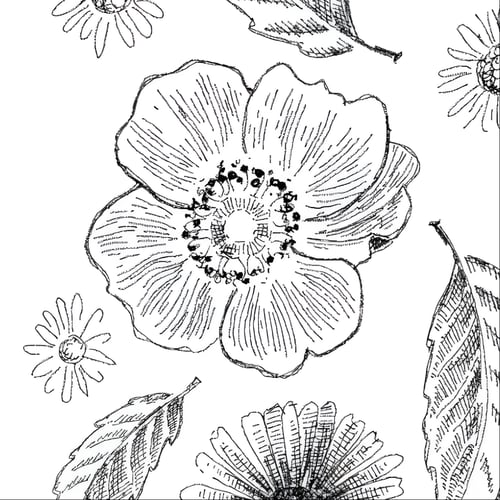 Smuk som - plakat (4)