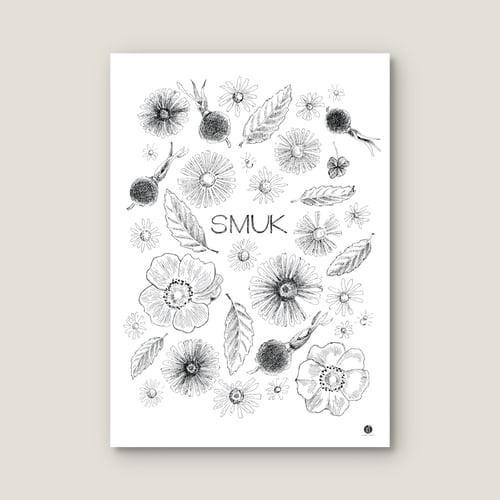 Smuk som - plakat (2)