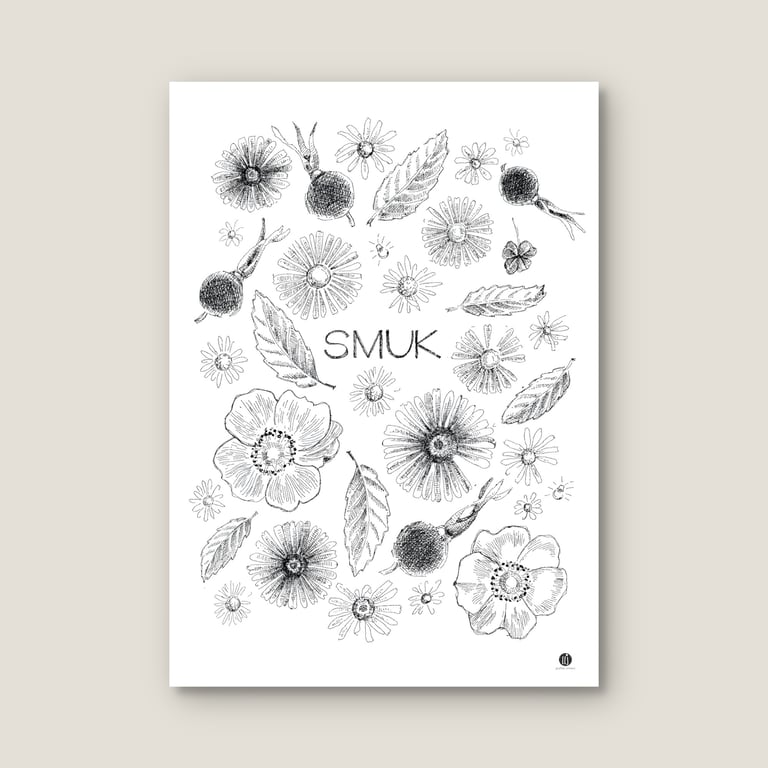 Smuk som - plakat billede 2