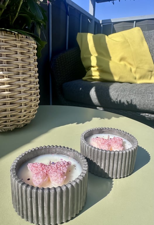 Sommerfugl i krukke billede 3