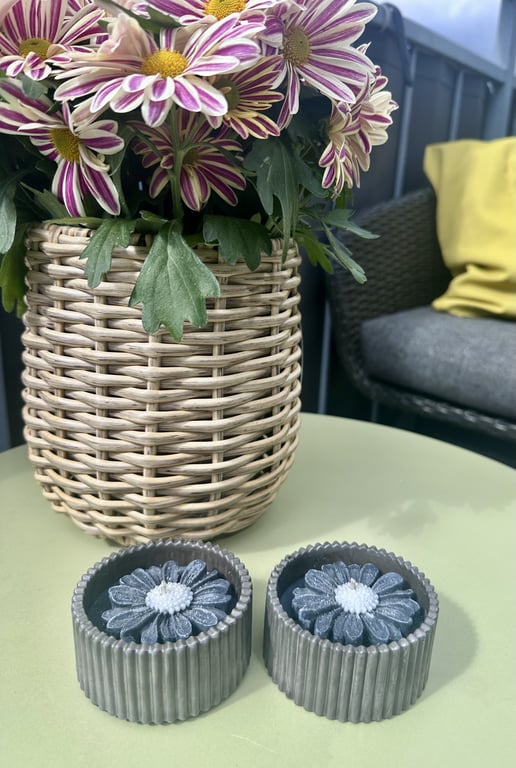 Marguerit lys sort/koksgrå  billede 3