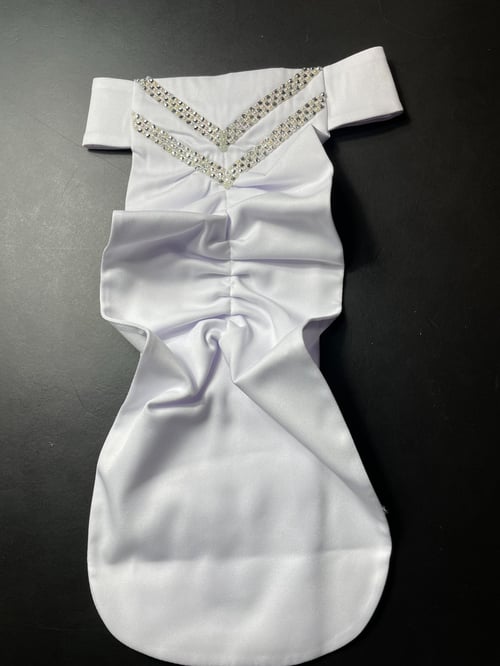 FairPlay/ Plastron Queen  (2)