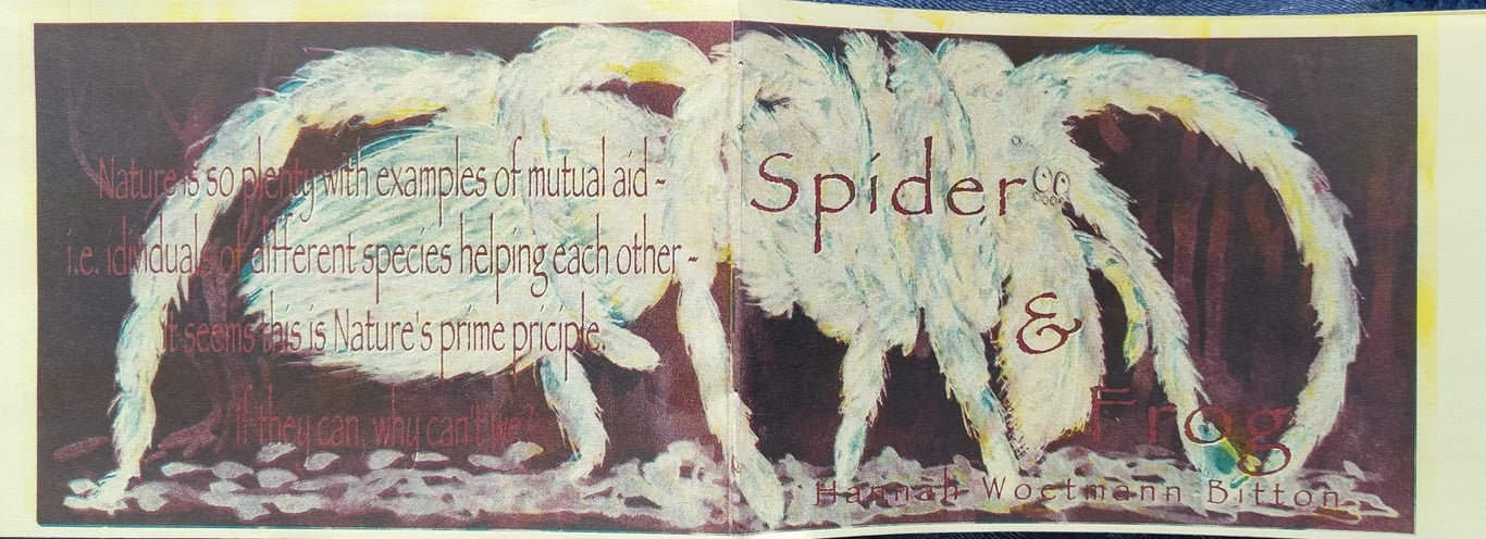 Spider &amp; Frog