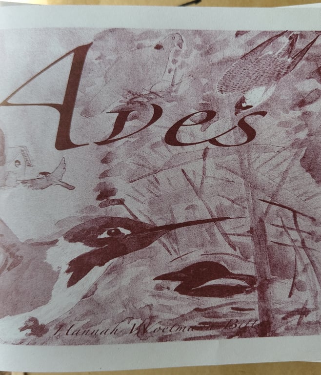 Aves (zine)