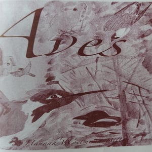 Aves (zine) – produktbillede