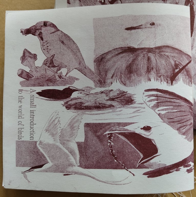 Aves (zine) billede 2